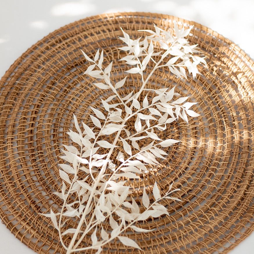 Getrockneter Ruscus in weiß, Bund 5 Stiele - Trockenblumen -> Sorten von mahina