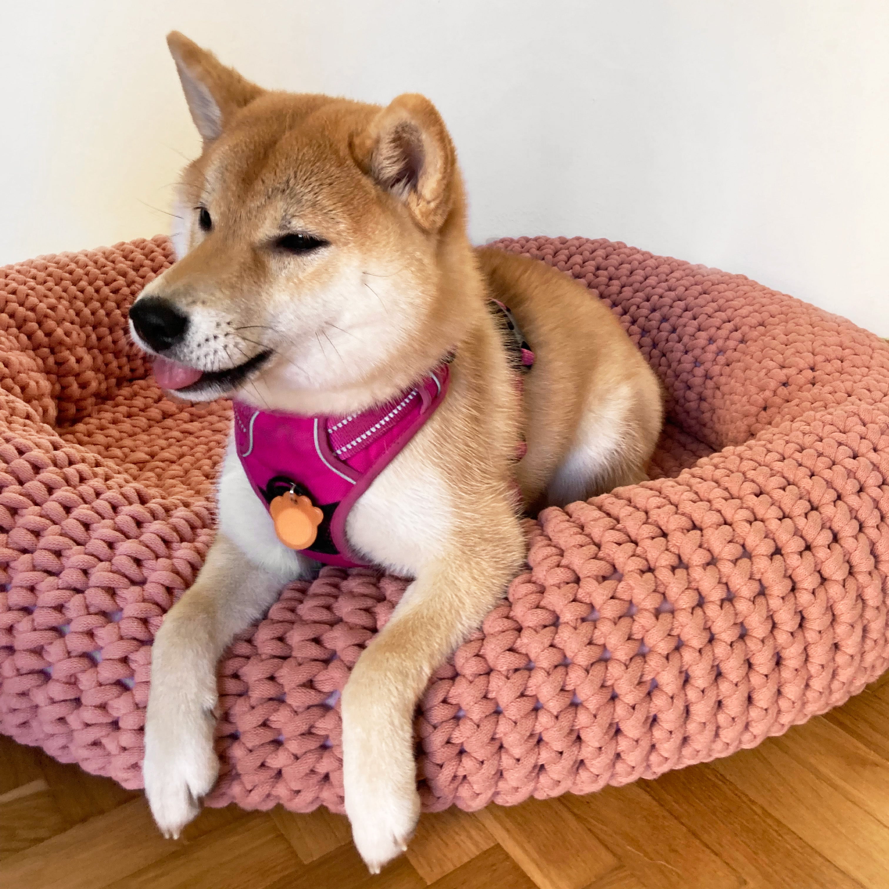 Bobbiny JUMBO Flechtkordel 9mm geflochten 30m - Garne > Baumwollgarne > Bobbiny > Geflochten > 9mm von mahina