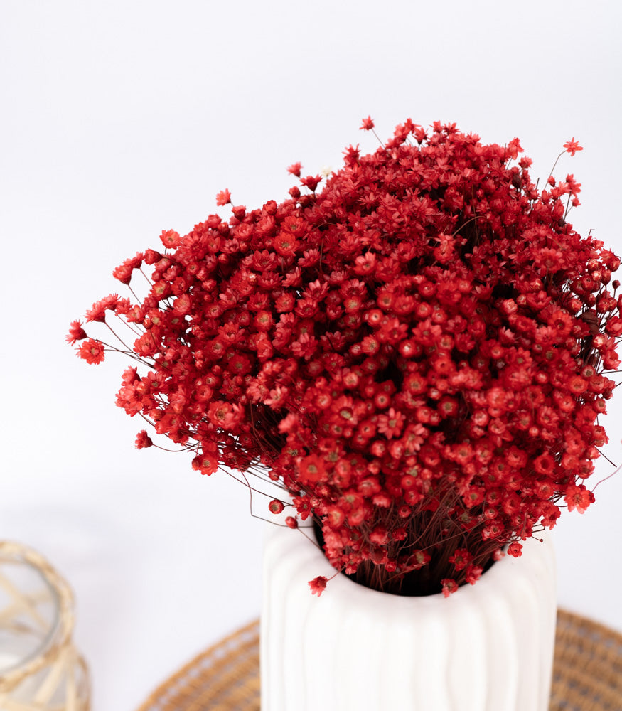 Getrocknete Glixia in rot, Bund 80g - Trockenblumen -> Sorten von mahina