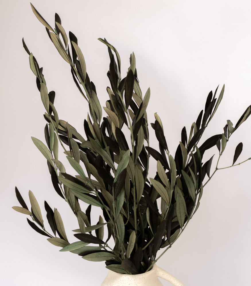 Getrocknete Olivenzweige im Bund, 150g - Trockenblumen -> Sorten von mahina