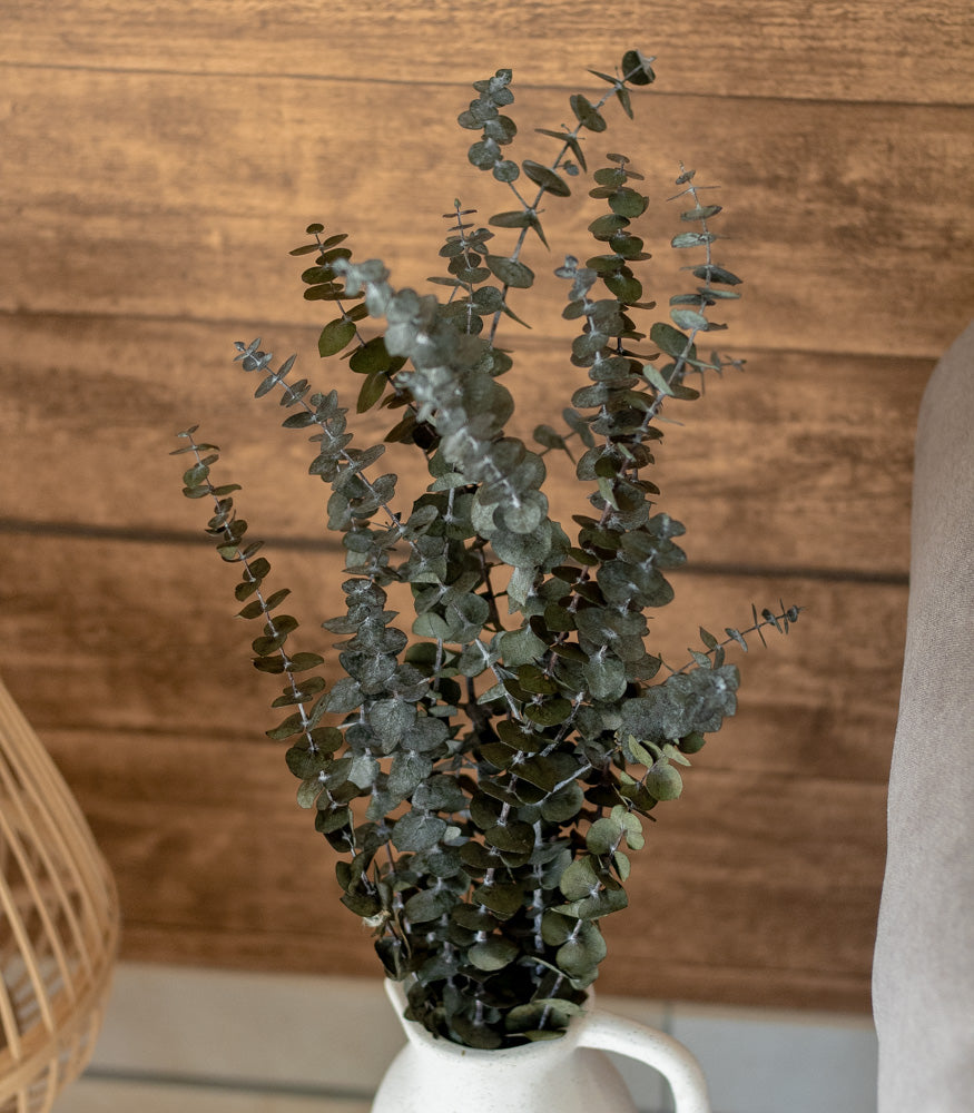 Getrockneter Eukalyptus "Baby Blue", Bund 150g - Trockenblumen -> Sorten von mahina