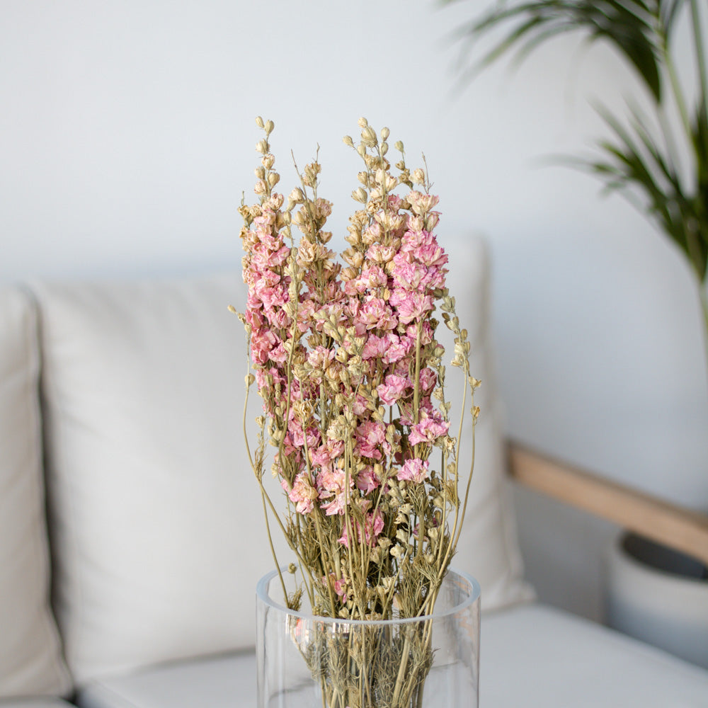 Getrockneter Rittersporn Delphinium in pink, Bund 60cm - Trockenblumen -> Sorten von mahina