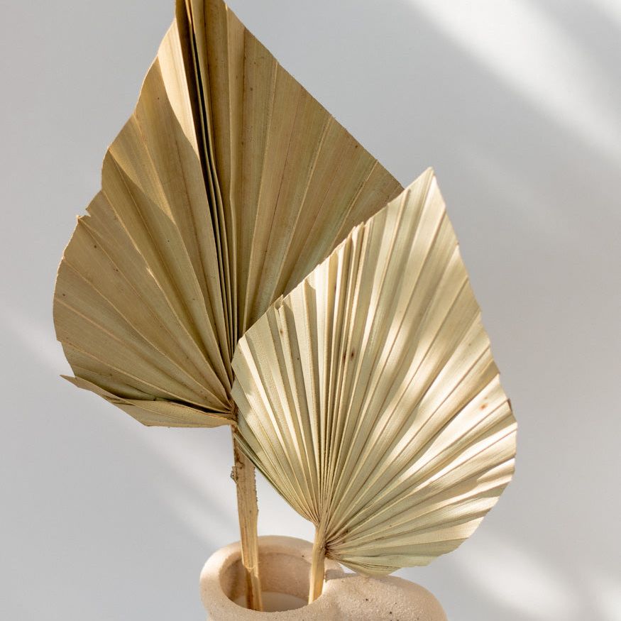 Getrocknetes Palmblatt in natur, Bund 10 Stiele - Trockenblumen -> Sorten von mahina