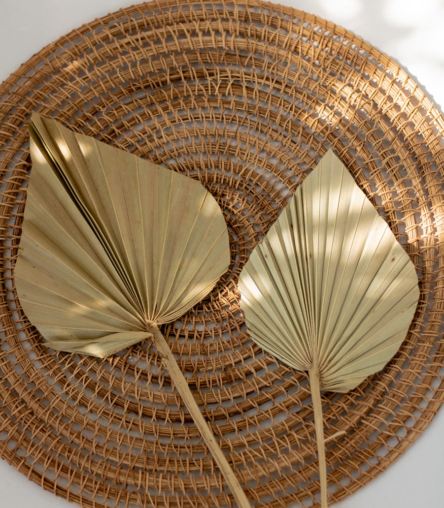 Getrocknetes Palmblatt in natur, Bund 10 Stiele - Trockenblumen -> Sorten von mahina