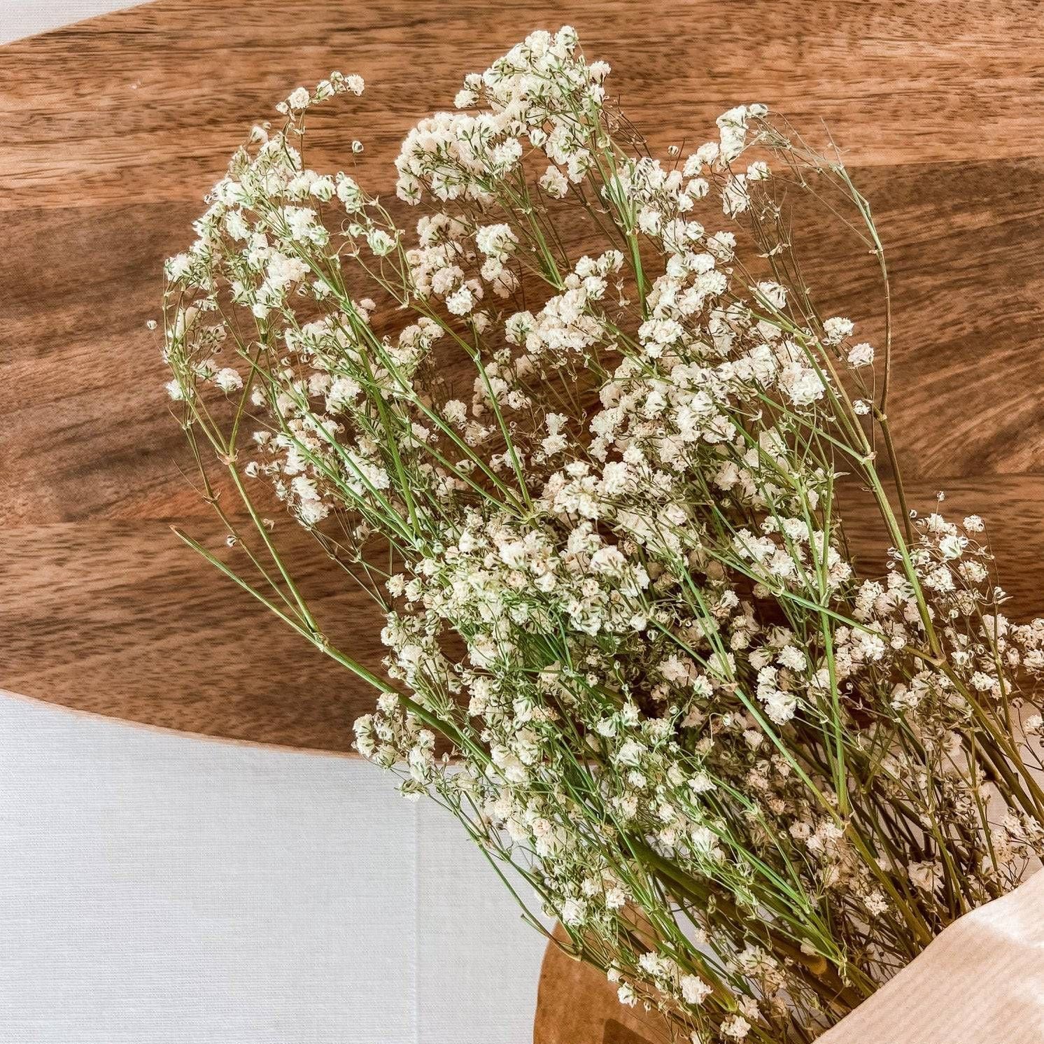 Getrocknetes Schleierkraut, Bund 70cm - Trockenblumen -> Sorten von mahina