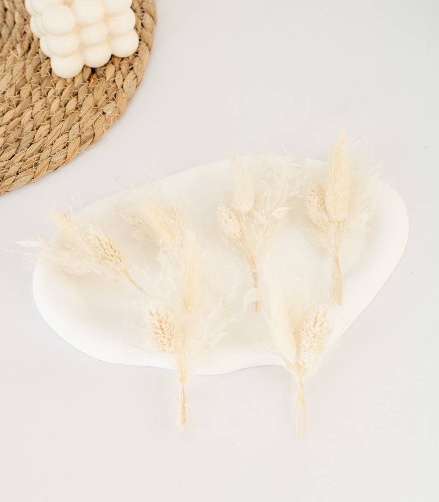 Mini Bouquet aus Trockenblumen "White Passion" - mahina