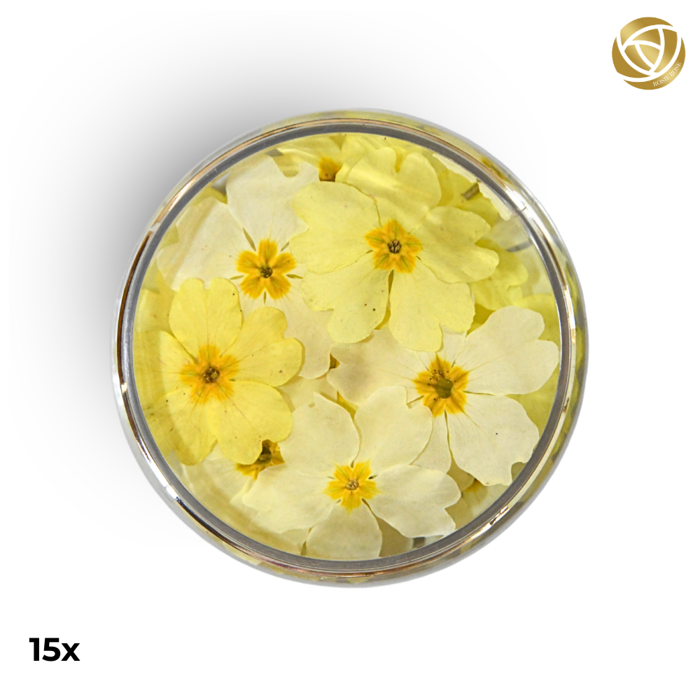 Rosie Rose "Special Blüten" 15 Stück - Essblüten von mahina