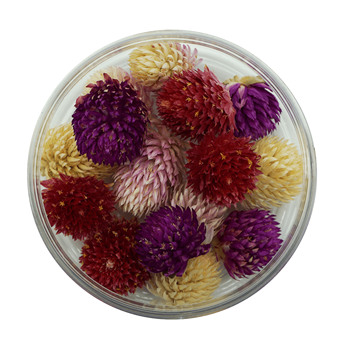 Rosie Rose "Kugelamarant" 15 Stück - SALE - Essblüten von mahina