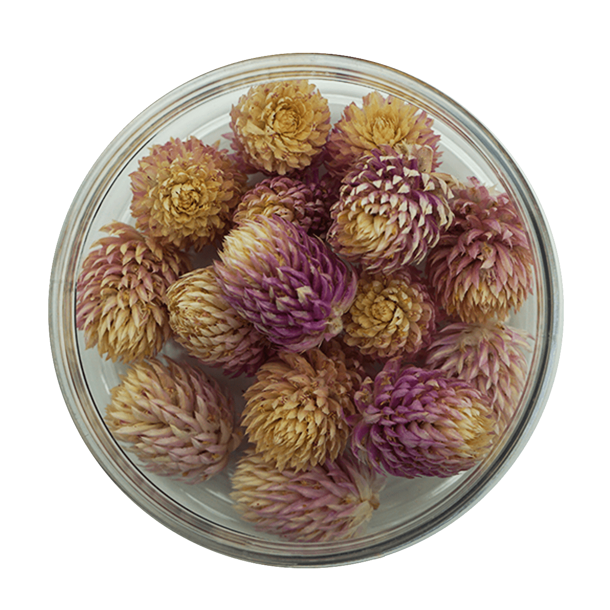 Rosie Rose "Kugelamarant" 15 Stück - SALE - Essblüten von mahina