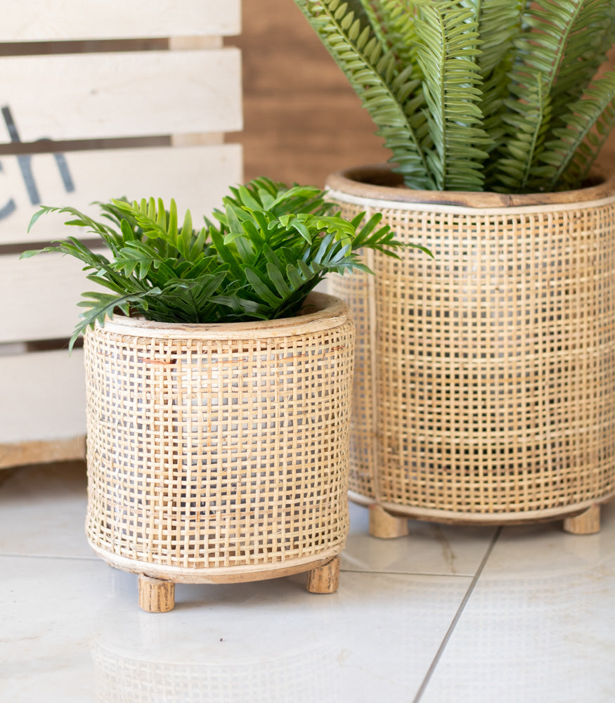 Blumentopf "Fori" - Interior > Dekoration > Blumentopf von mahina