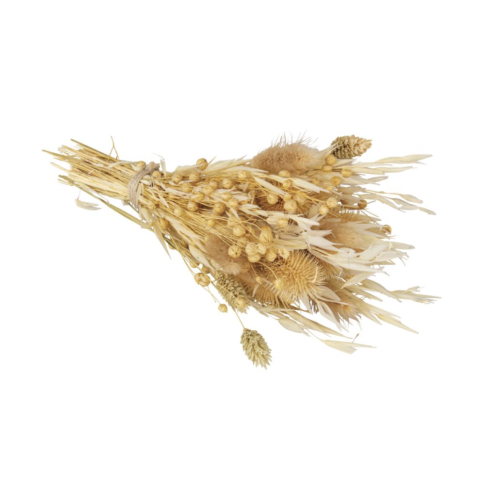 DIY Trockenblumen Strauß in natur, 28cm - mahina