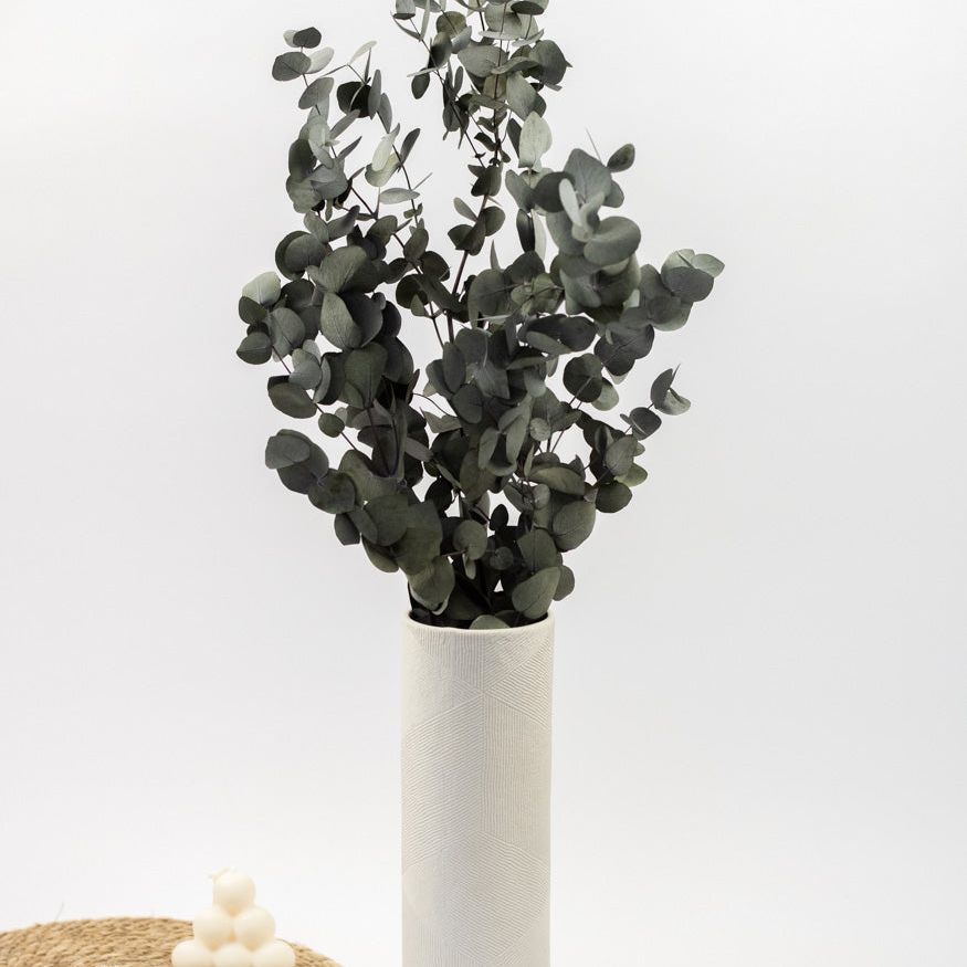 Getrockneter Eukalyptus "Cinerea", Bund 150g - mahina