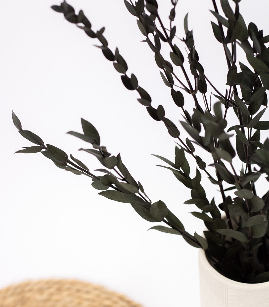 Getrockneter Eukalyptus "Parvifolia", Bund 150g - mahina