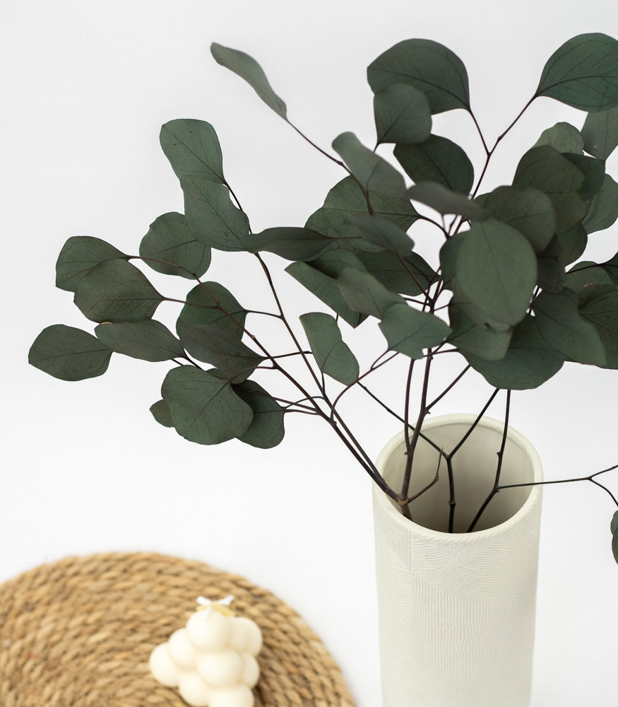 Getrockneter Eukalyptus "Populus", Bund 150g - mahina