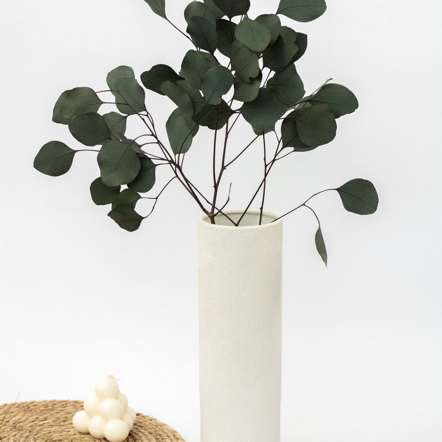 Getrockneter Eukalyptus "Populus", Bund 150g - mahina