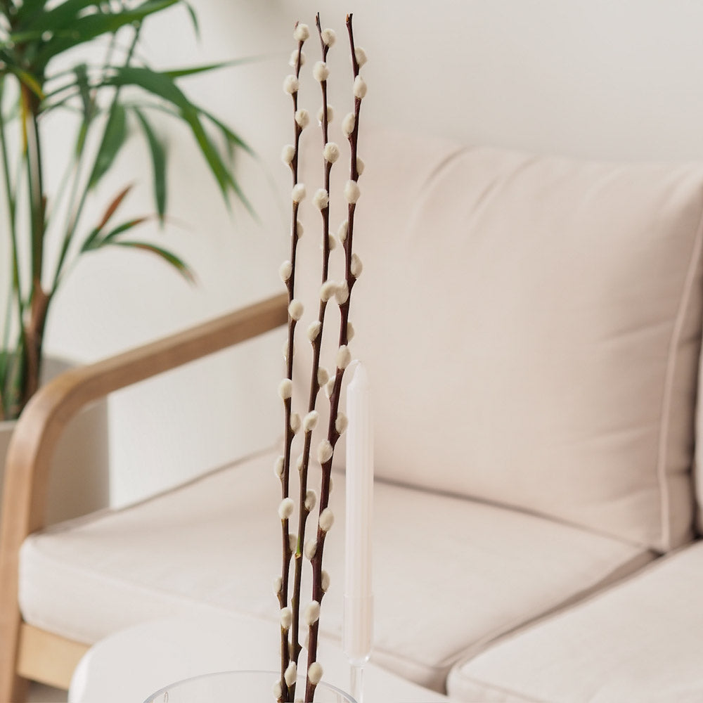 Weidenkätzchen/Salix Bund, 120cm in natur - Trockenblumen -> Sorten von mahina