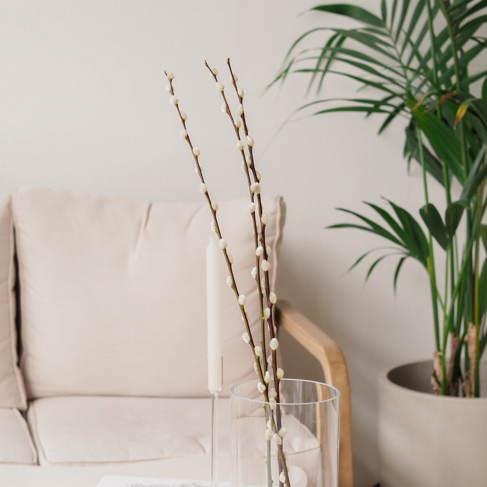 Weidenkätzchen/Salix Bund, 120cm in natur - Trockenblumen -> Sorten von mahina