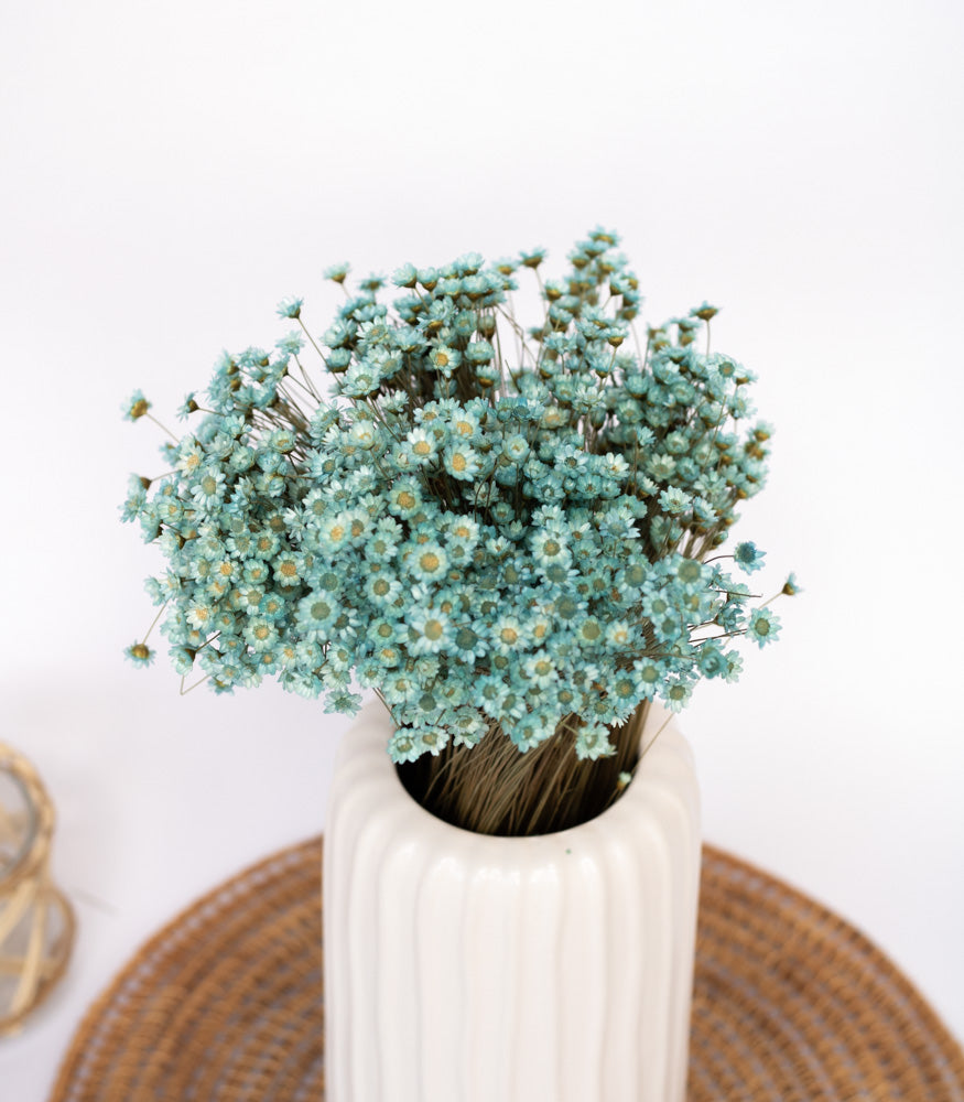 Getrocknete Glixia in blau, Bund 80g - Trockenblumen -> Sorten von mahina