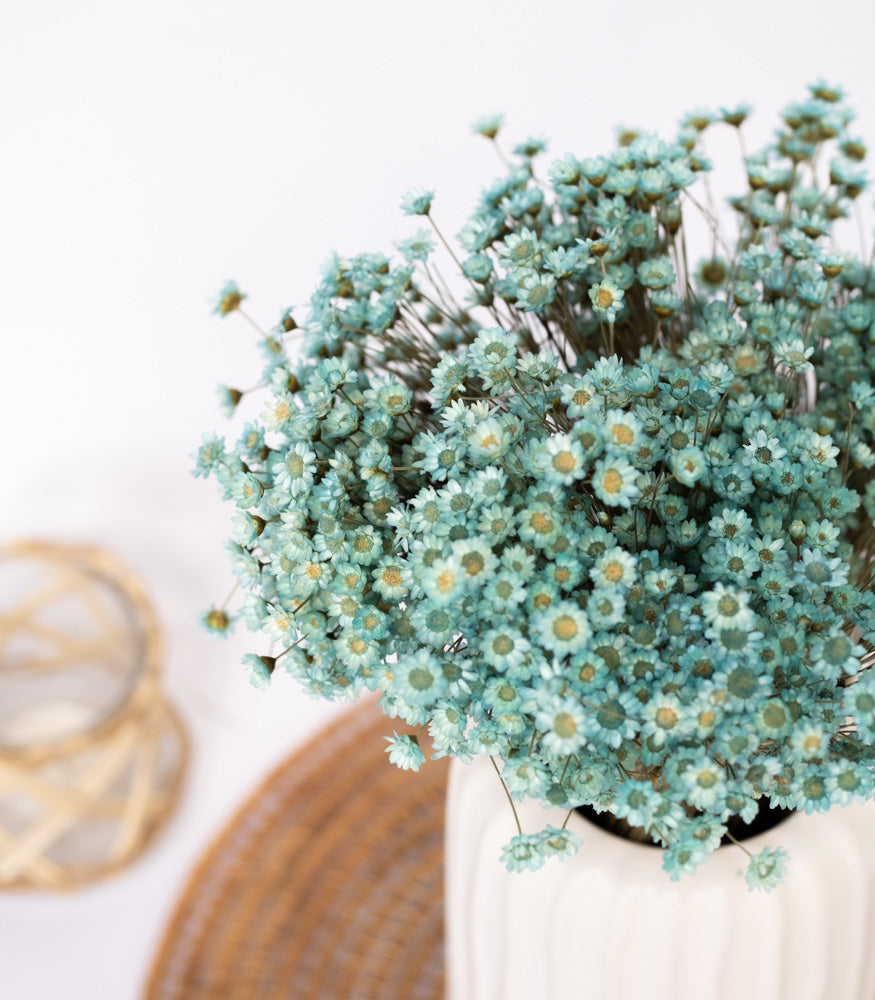 Getrocknete Glixia in blau, Bund 80g - Trockenblumen -> Sorten von mahina