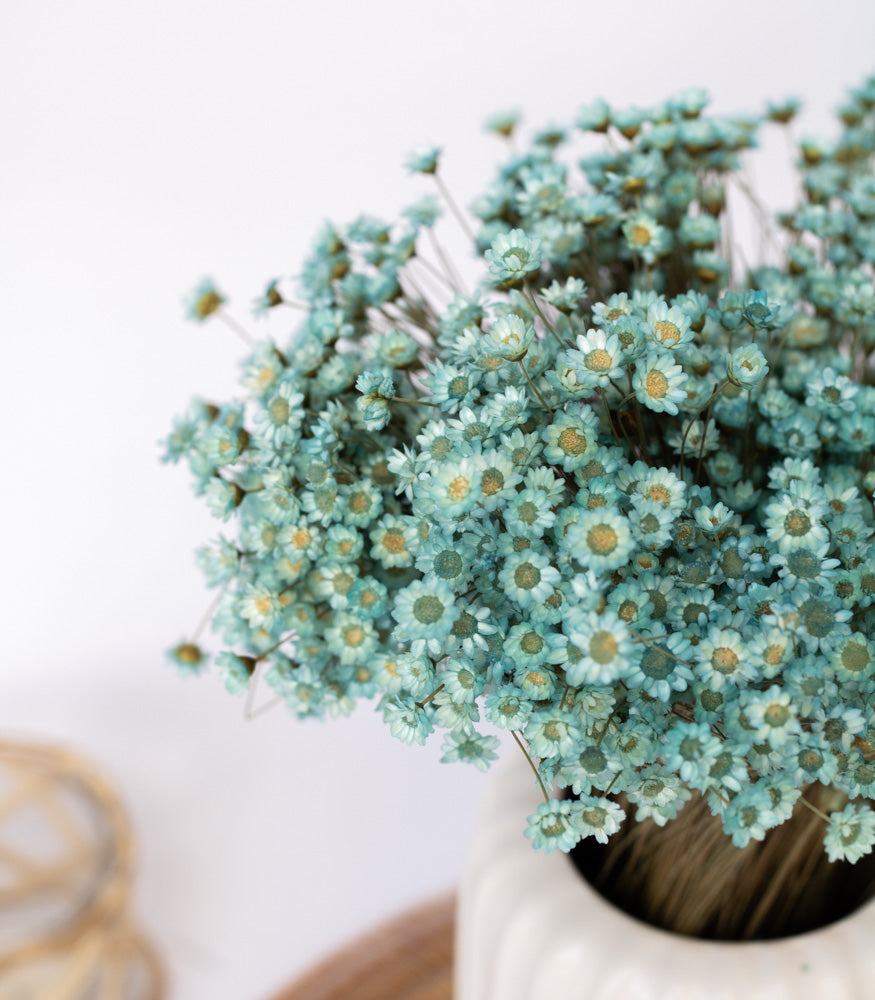 Getrocknete Glixia in blau, Bund 80g - Trockenblumen -> Sorten von mahina