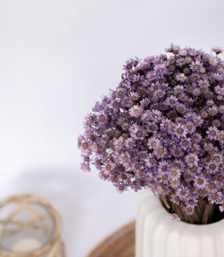 Getrocknete Glixia in lila, Bund 80g - Trockenblumen -> Sorten von mahina