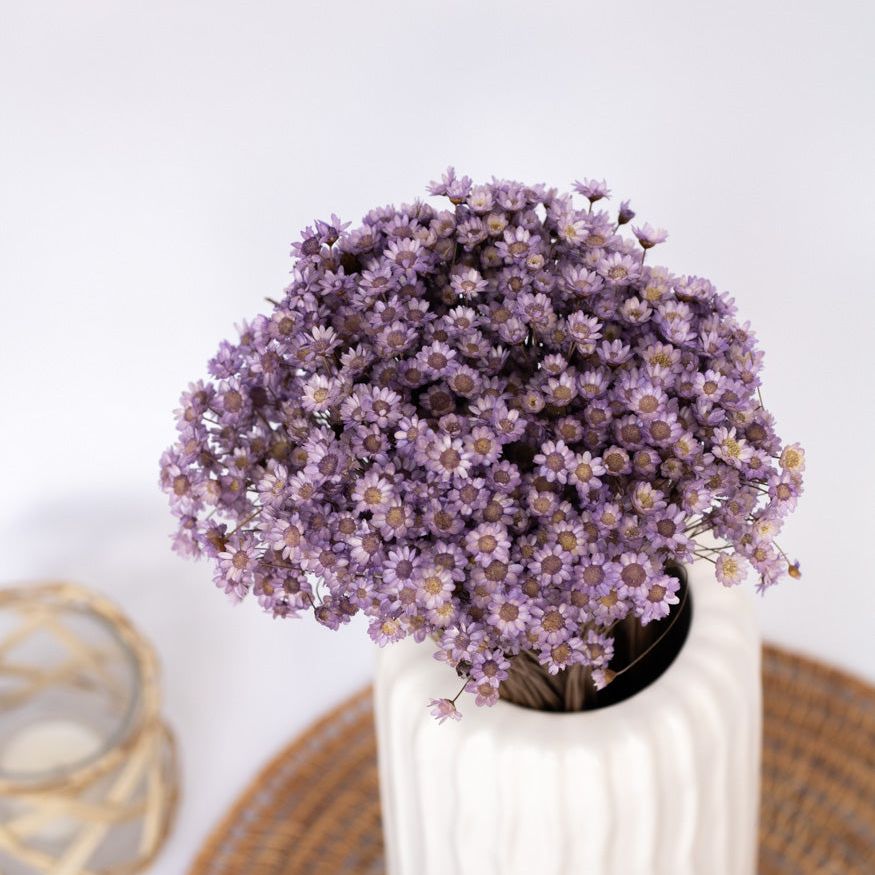 Getrocknete Glixia in lila, Bund 80g - Trockenblumen -> Sorten von mahina