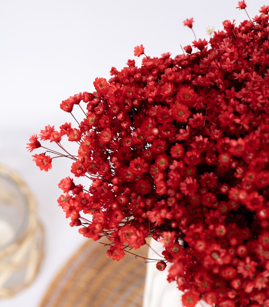 Getrocknete Glixia in rot, Bund 80g - Trockenblumen -> Sorten von mahina