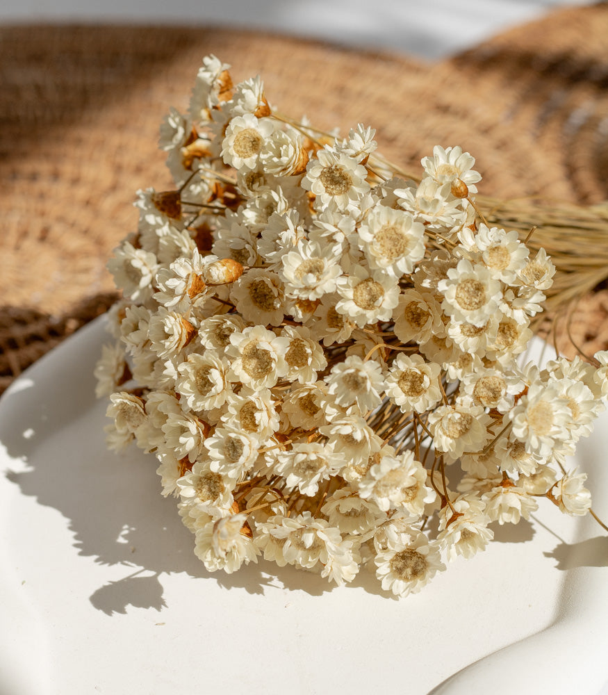 Getrockneter Glixia in natur, Bund 80g - Trockenblumen -> Sorten von mahina