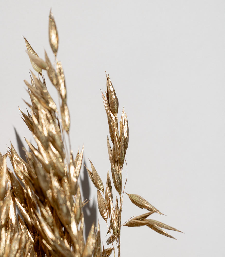 Getrockneter Hafer in gold, Bund 60cm - SALE - Trockenblumen -> Sorten von mahina