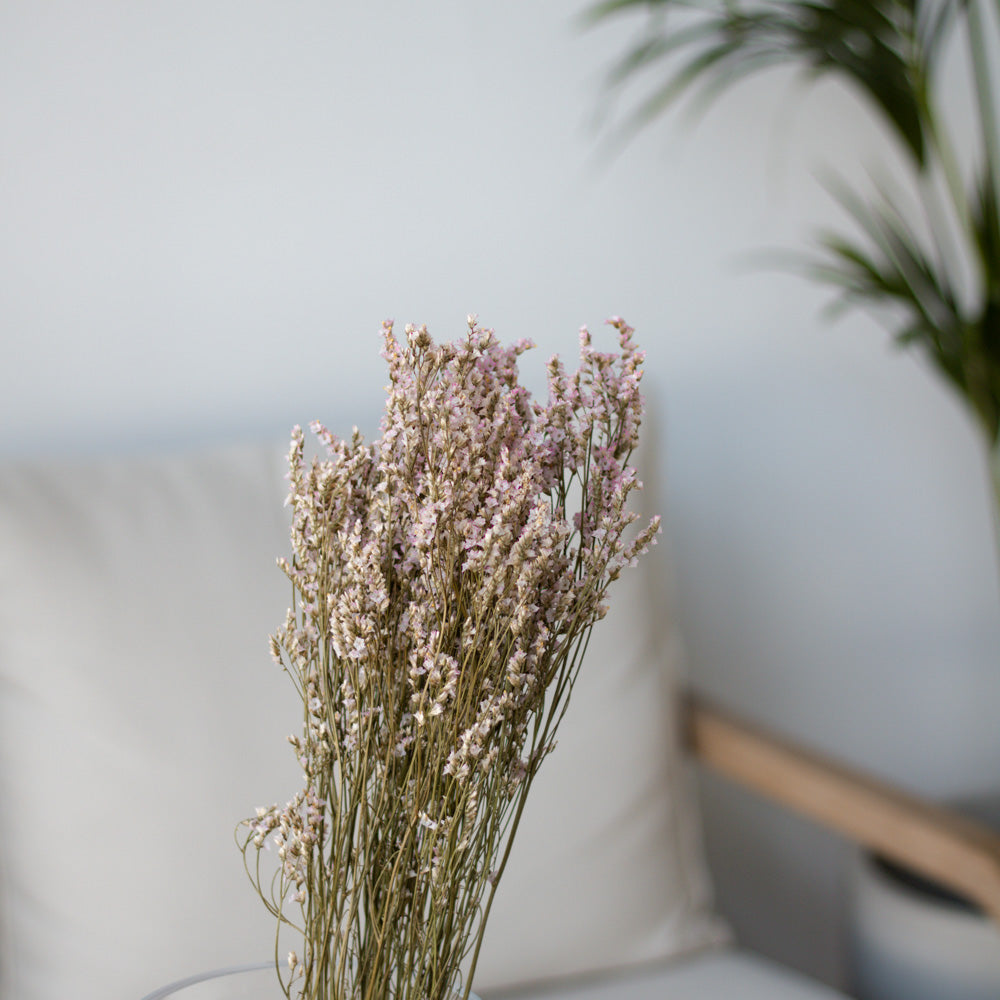 Getrockneter Limonium Diamond in rose 50g, 60cm - Trockenblumen -> Sorten von mahina