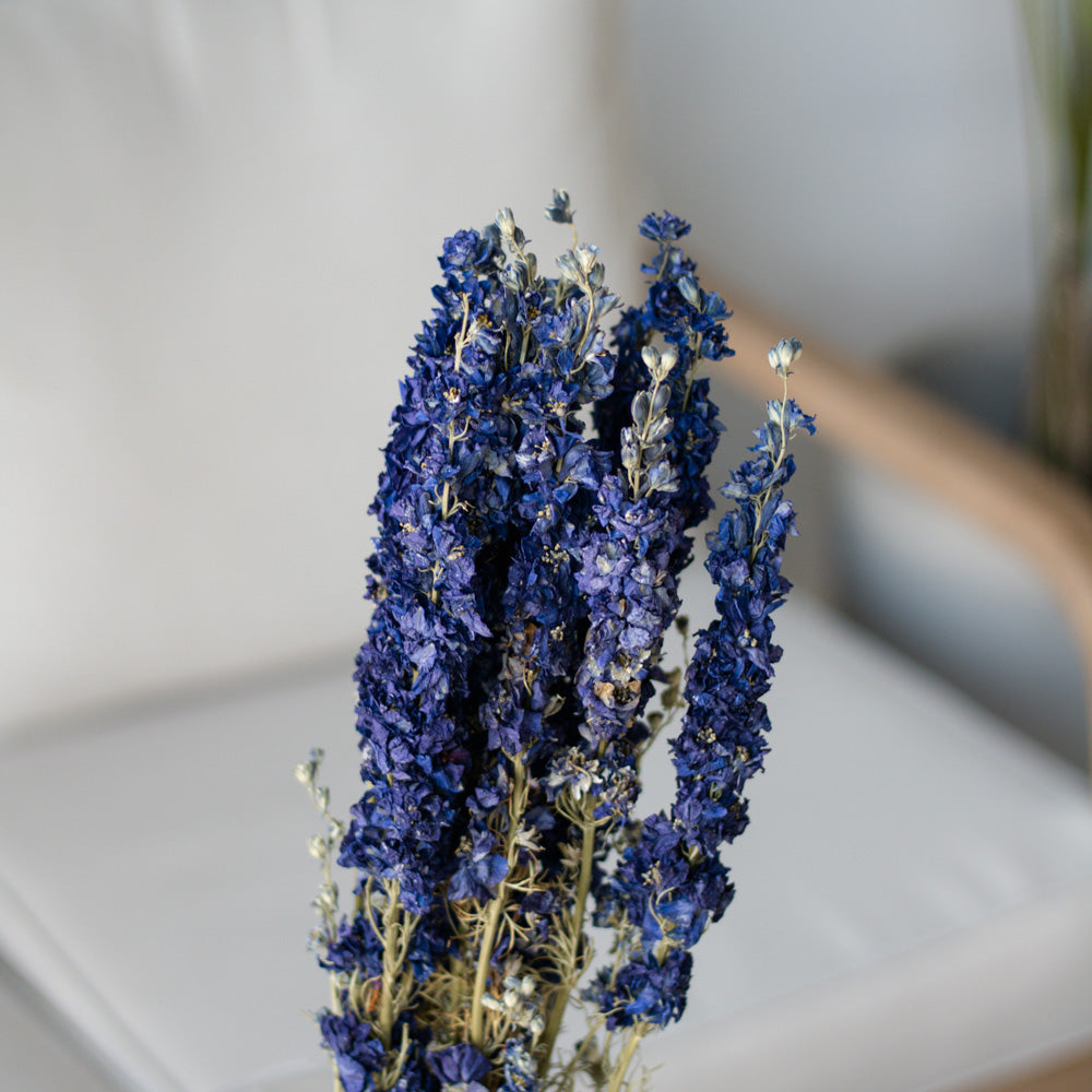 Getrockneter Rittersporn Delphinium in blau, Bund 60cm - Trockenblumen -> Sorten von mahina