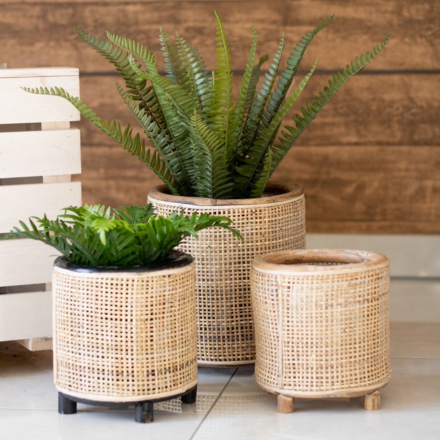 Blumentopf "Fori" - Interior > Dekoration > Blumentopf von mahina