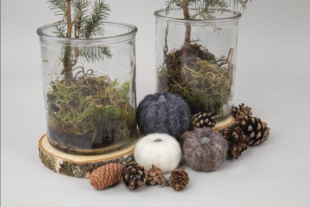 Holzscheibe/Baumscheibe rund im Set 8-12cm ø, 3 Stück - Bastelbedarf -> Holz > Baumscheiben von mahina