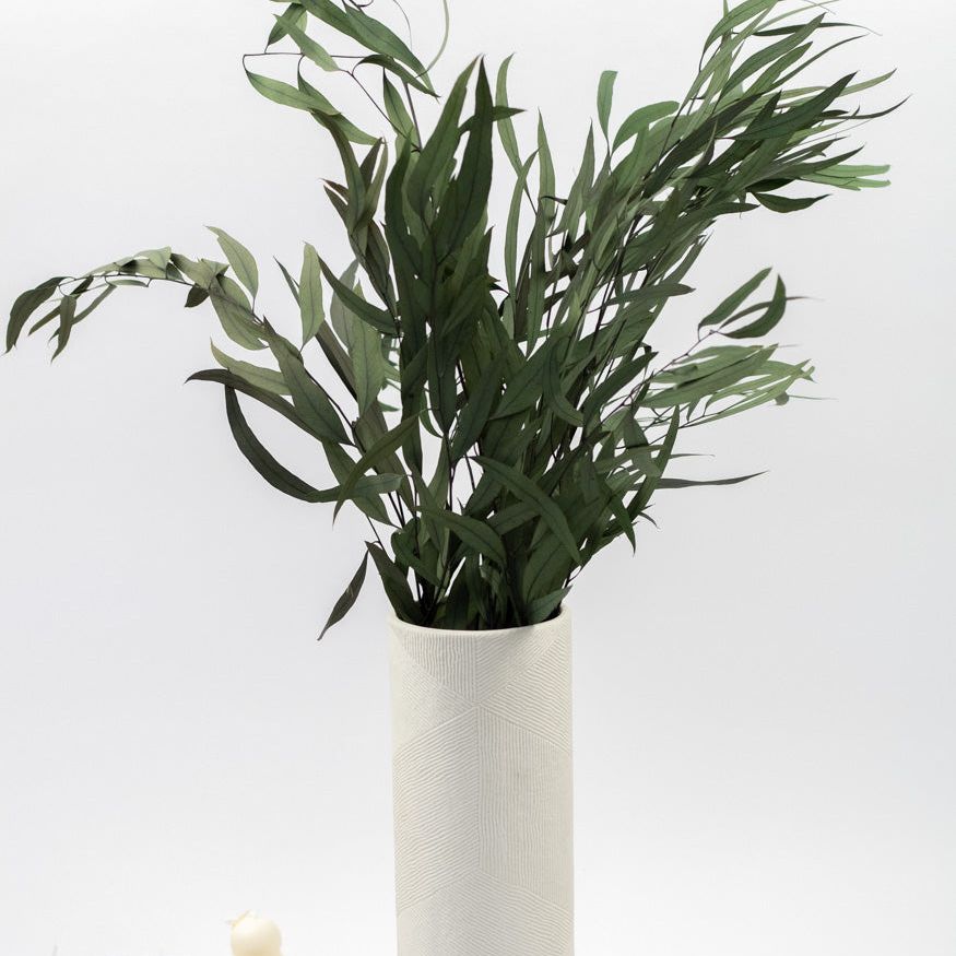 Getrockneter Eukalyptus "Nicoli", Bund 150g - mahina