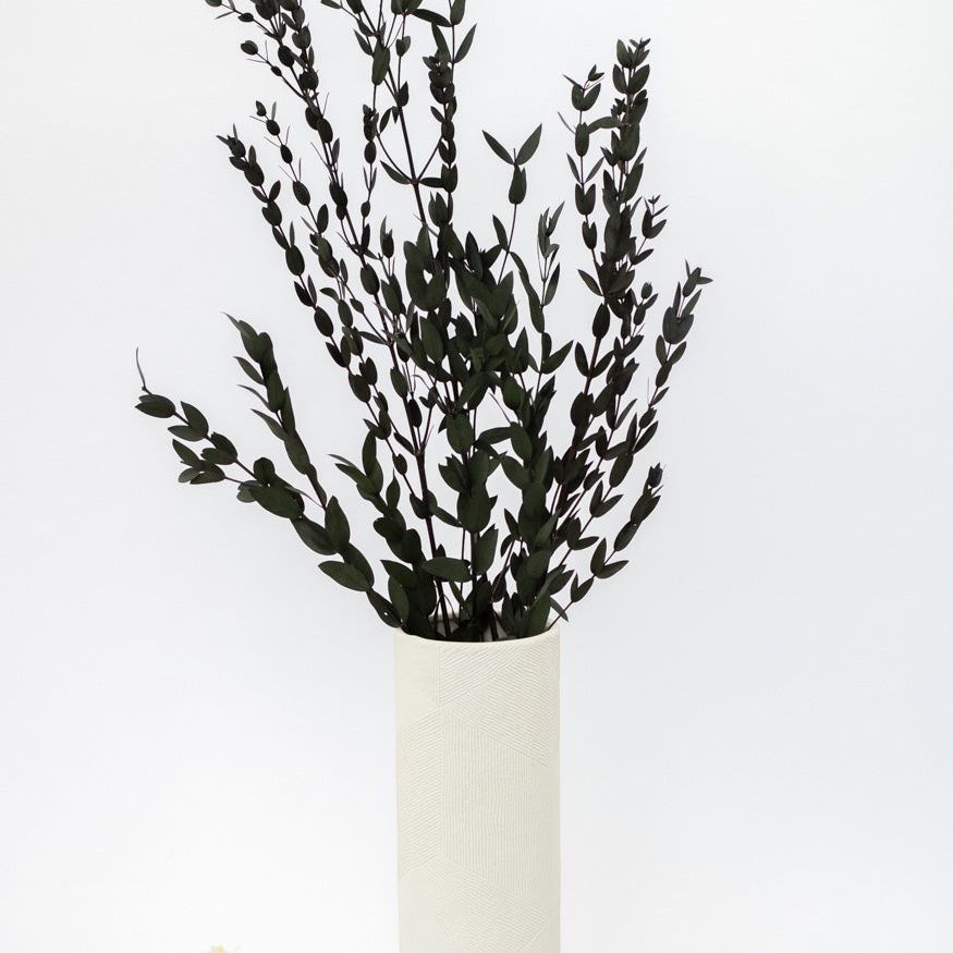 Getrockneter Eukalyptus "Parvifolia", Bund 150g - mahina