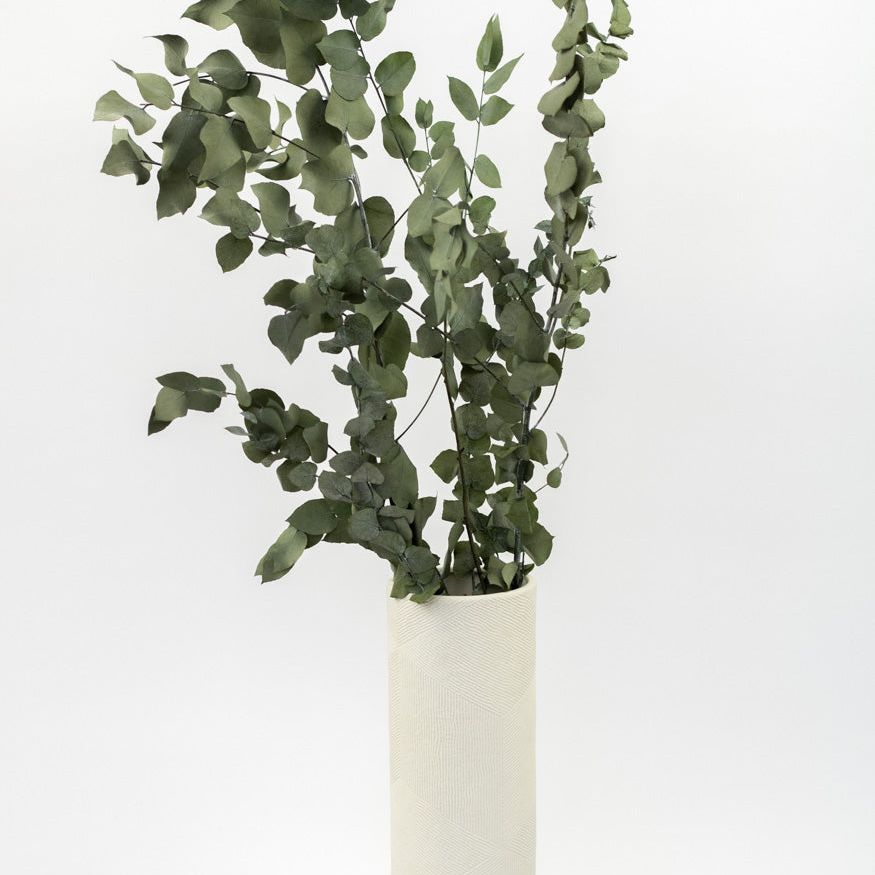 Getrockneter Eukalyptus "Stuartiana", Bund 150g - mahina