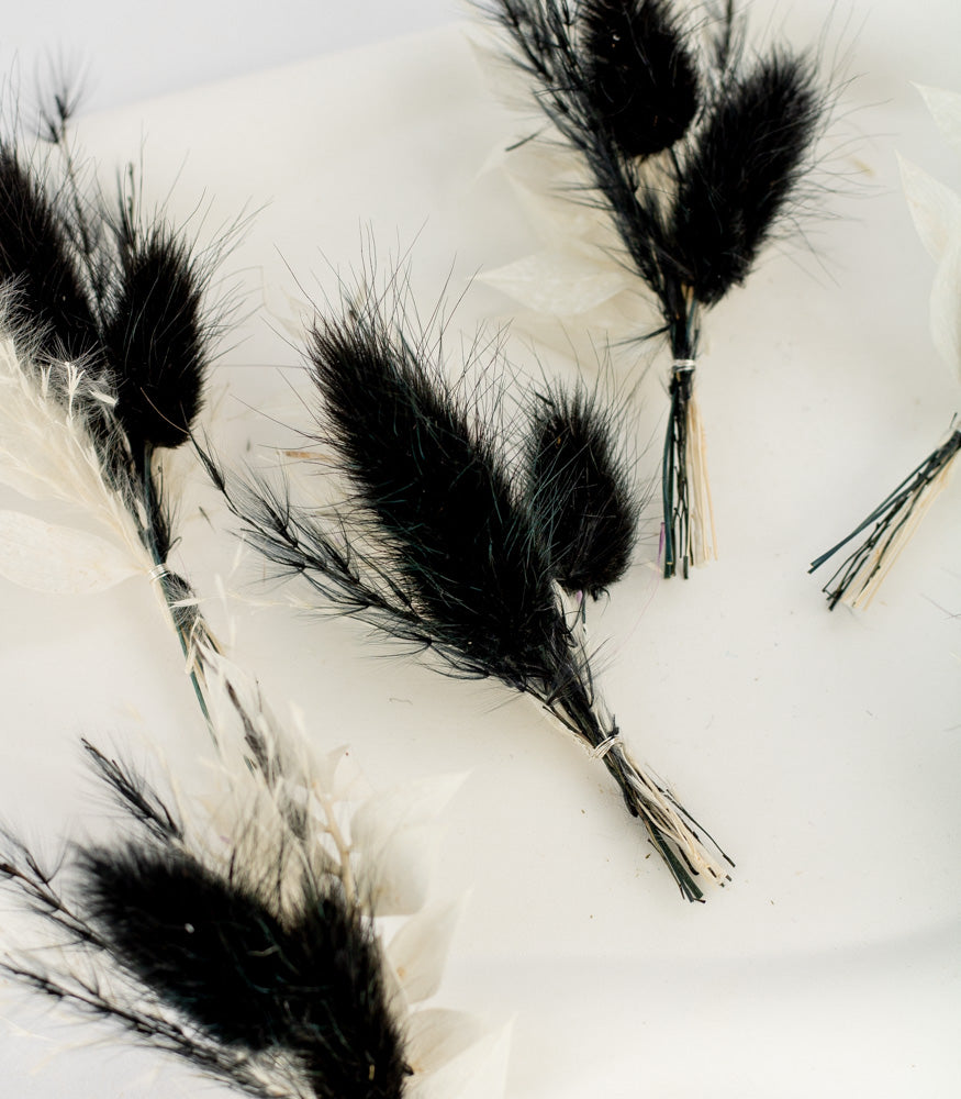 Mini Bouquet aus Trockenblumen "Black&White" - mahina